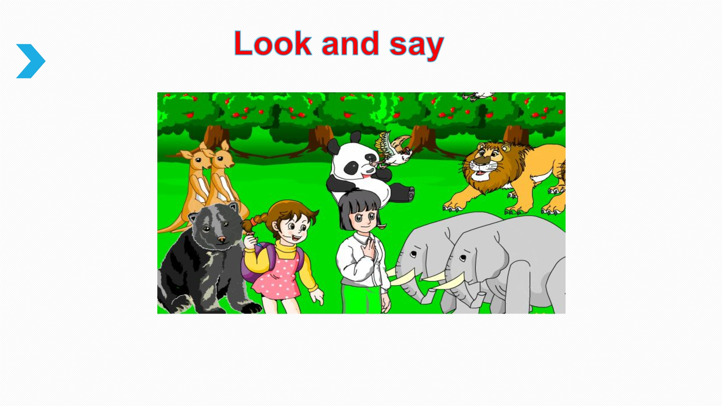 4.jpg