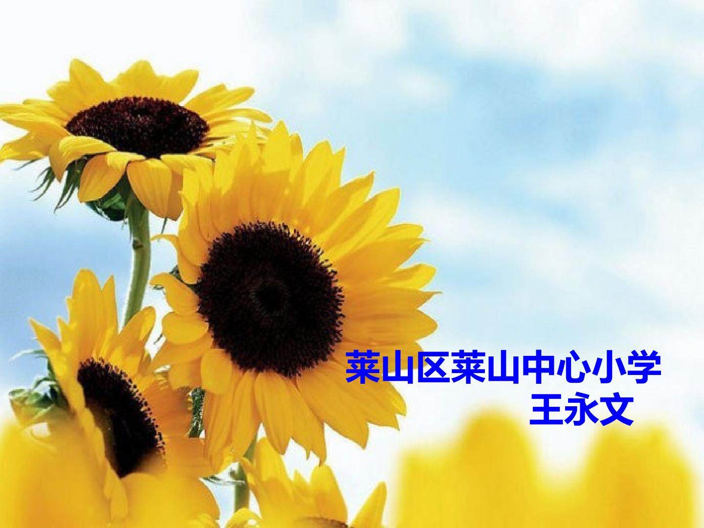 信息窗二（分数乘分数）