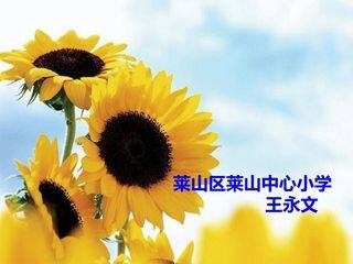 信息窗二(分数乘分数)