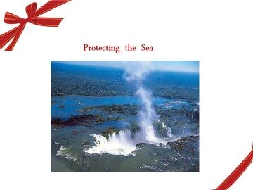 Protecting the Sea_课件1