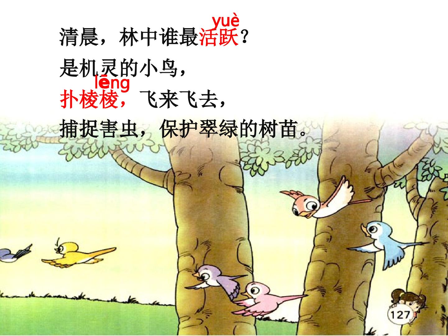 25.jpg