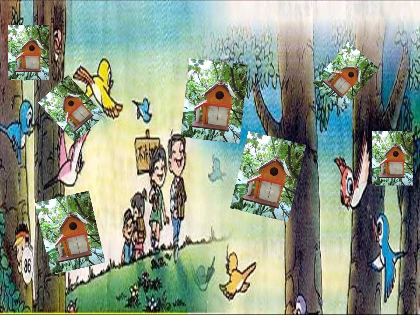 36.jpg