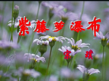 紫藤萝瀑布_课件7