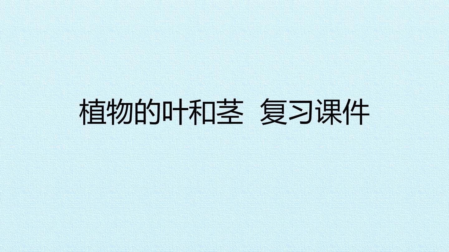 植物的叶和茎 复习课件