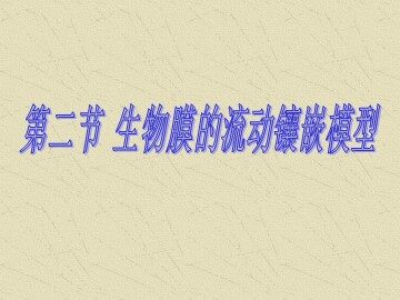 生物高中必修1第四章第二节课件1