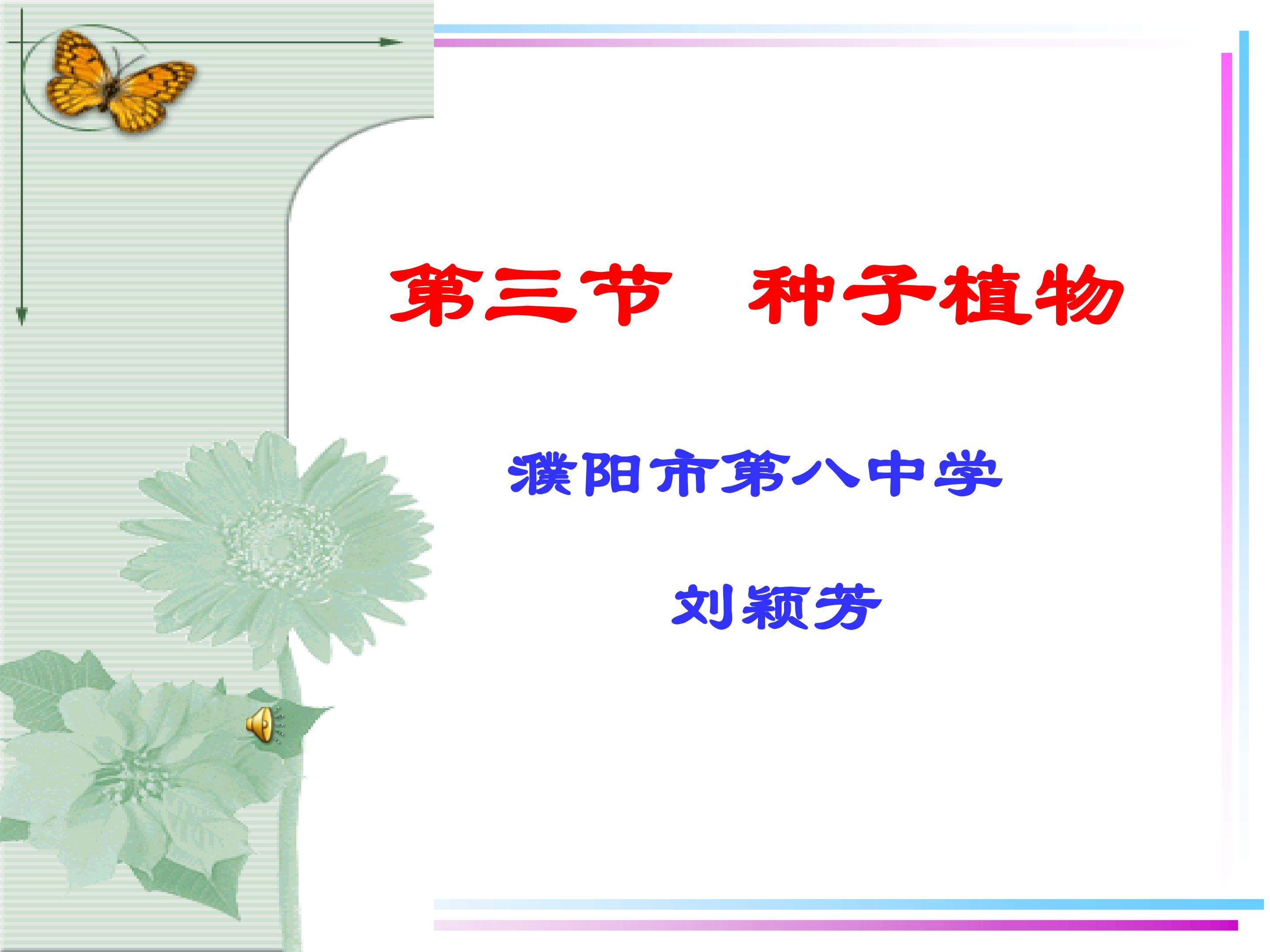 种子植物
