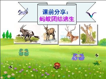 27 斑羚飞渡