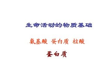 氨基酸 蛋白质 核酸_课件5