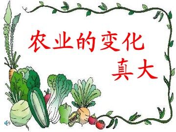 农业的变化真大_课件6