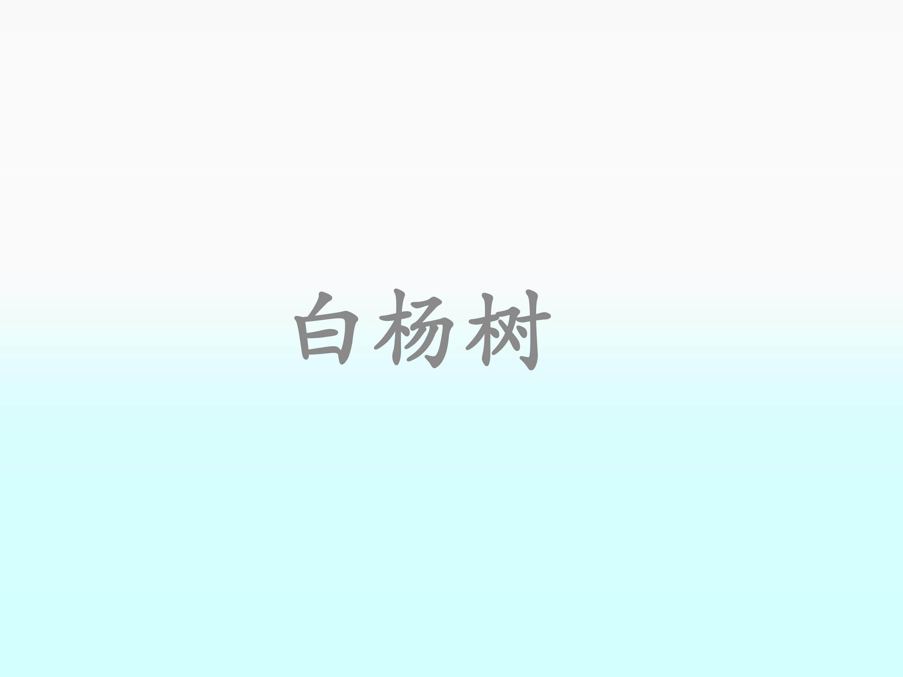 白杨_课件10