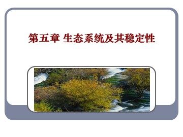 生物高中必修3第五章第五节课件14