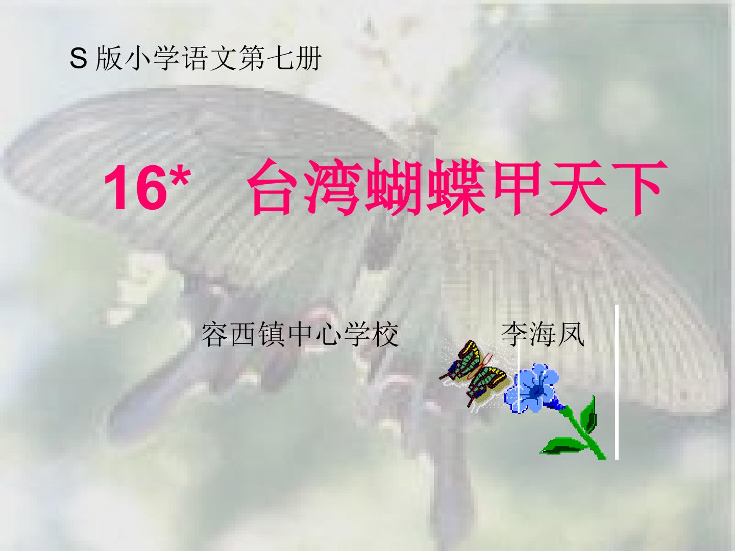16*台湾蝴蝶甲天下