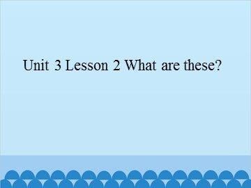 Unit 3 Lesson 2 What are these_课件1