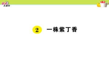 2  一株紫丁香