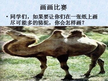 12* 想别人没想到的