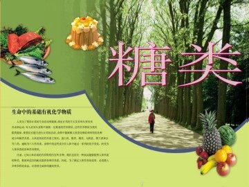 糖类_课件7