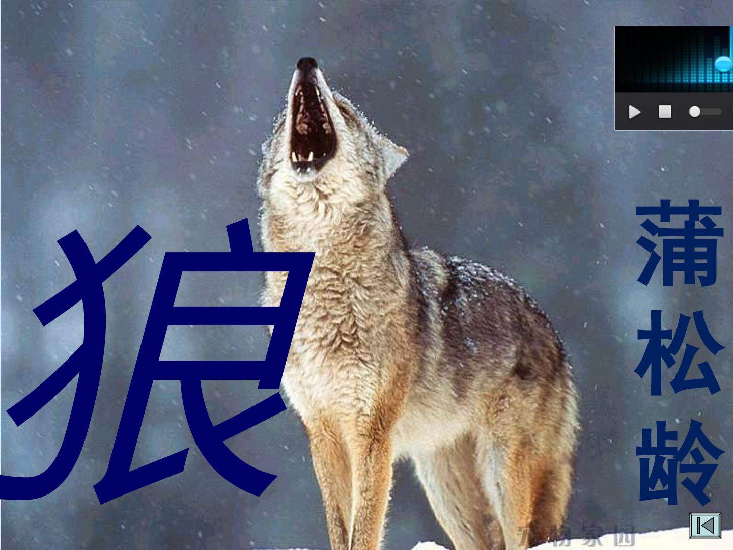20 狼