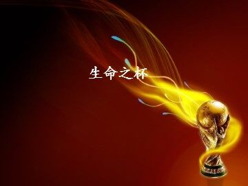 生命之杯_课件1