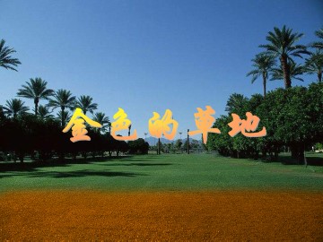 金色的草地_课件1