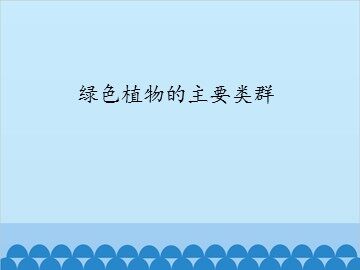 绿色植物的主要类群_课件1