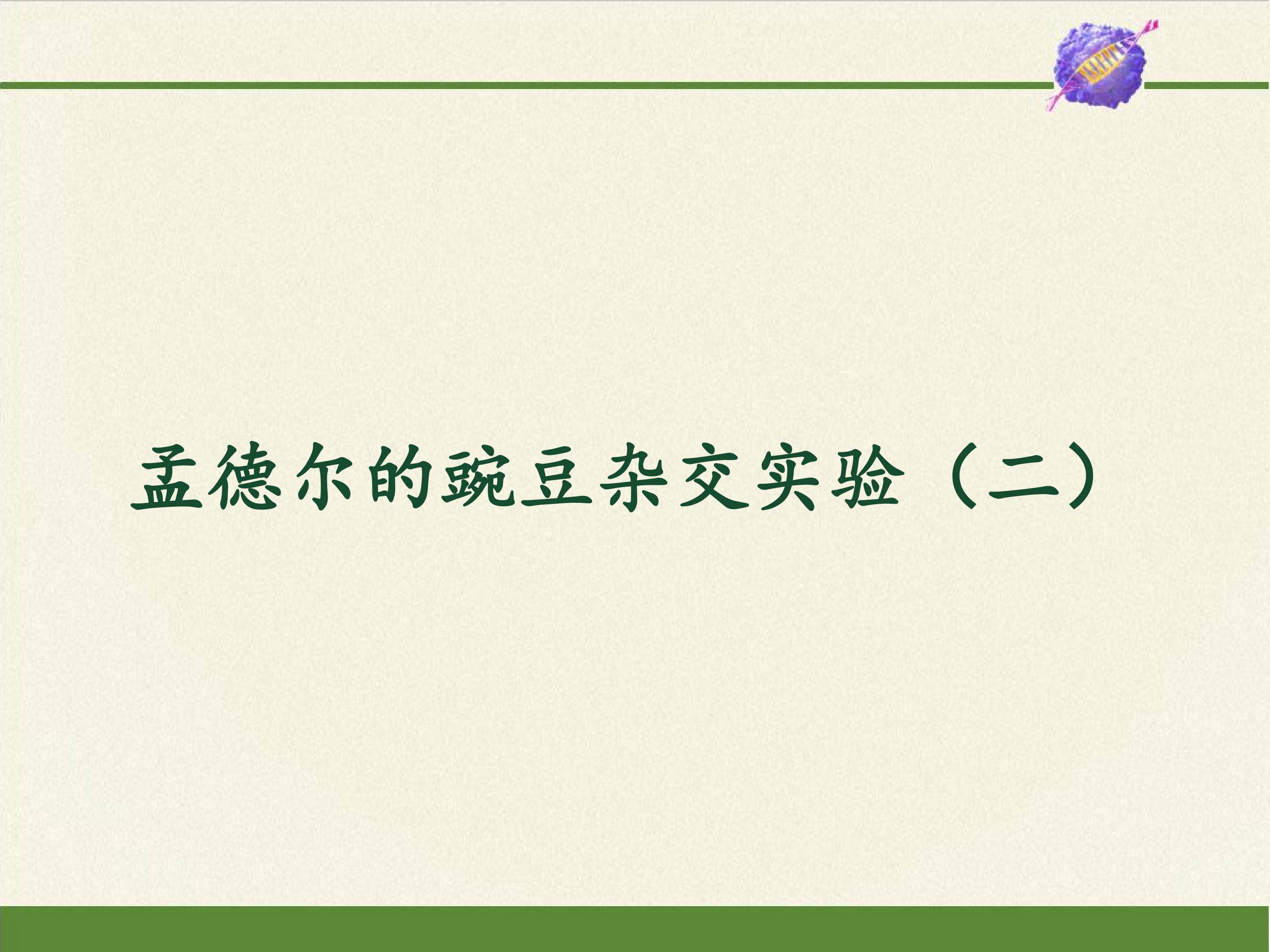 孟德尔的豌豆杂交实验（二）