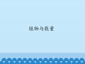 植物与能量_课件1