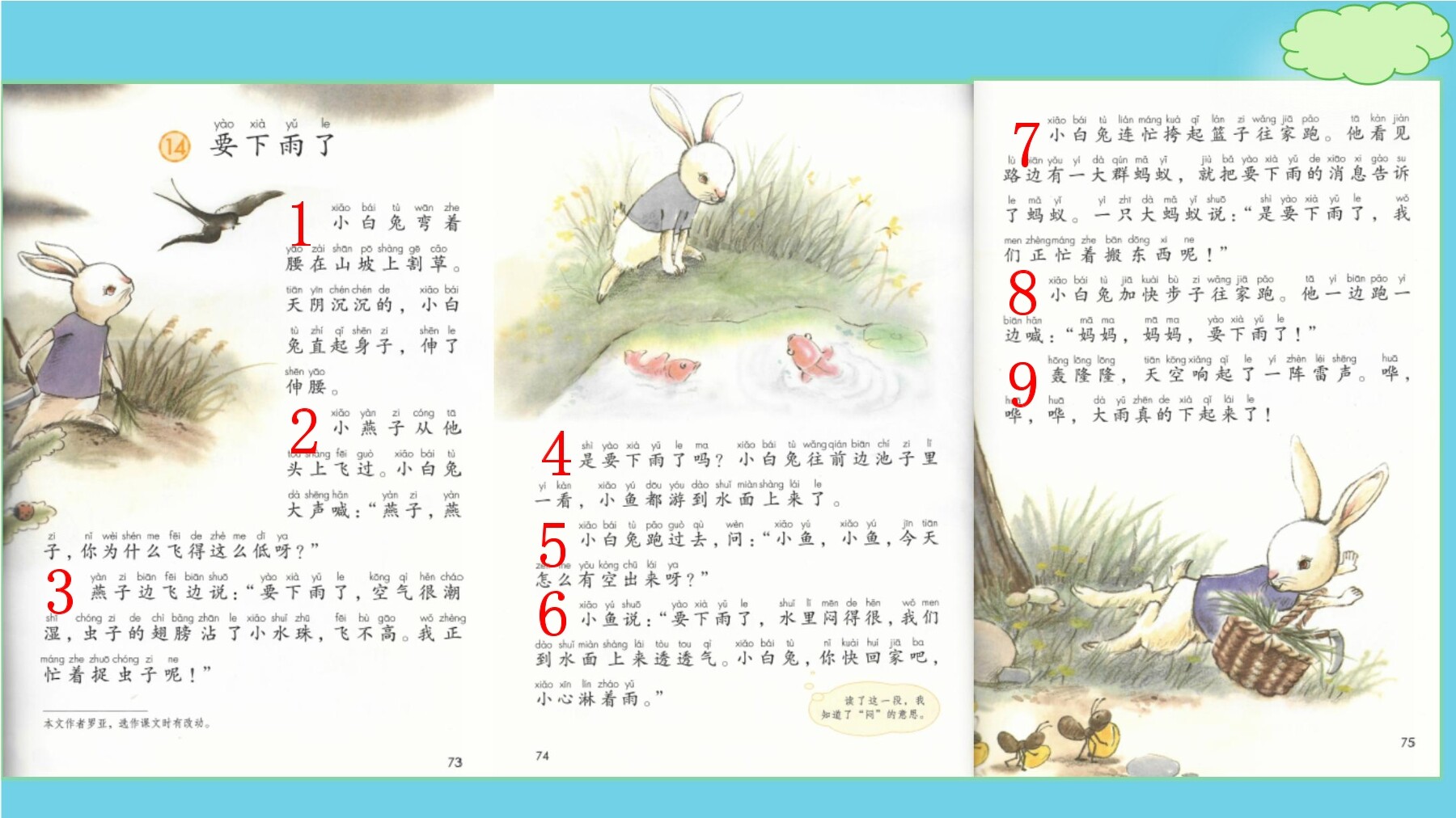 6