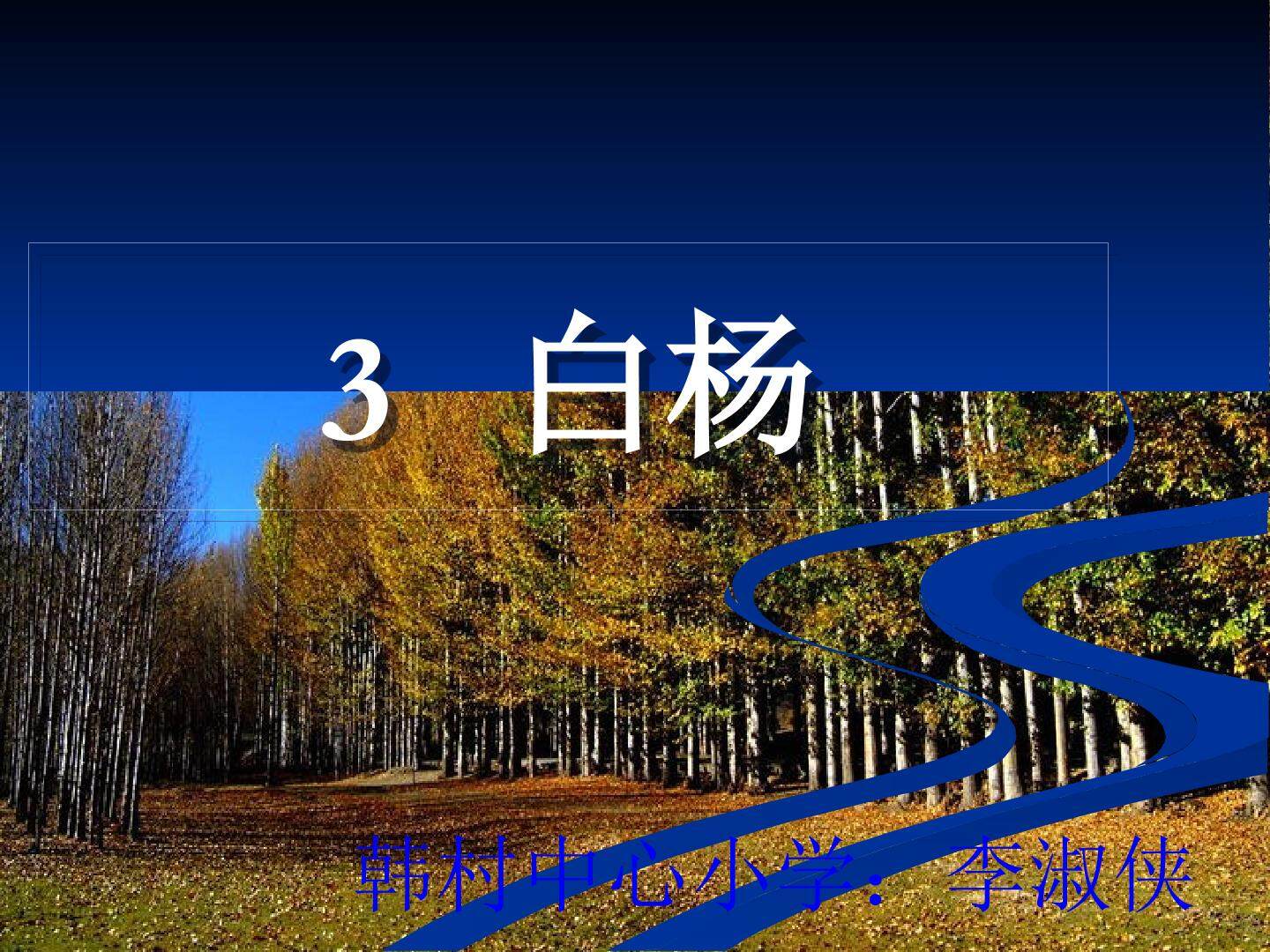 白杨