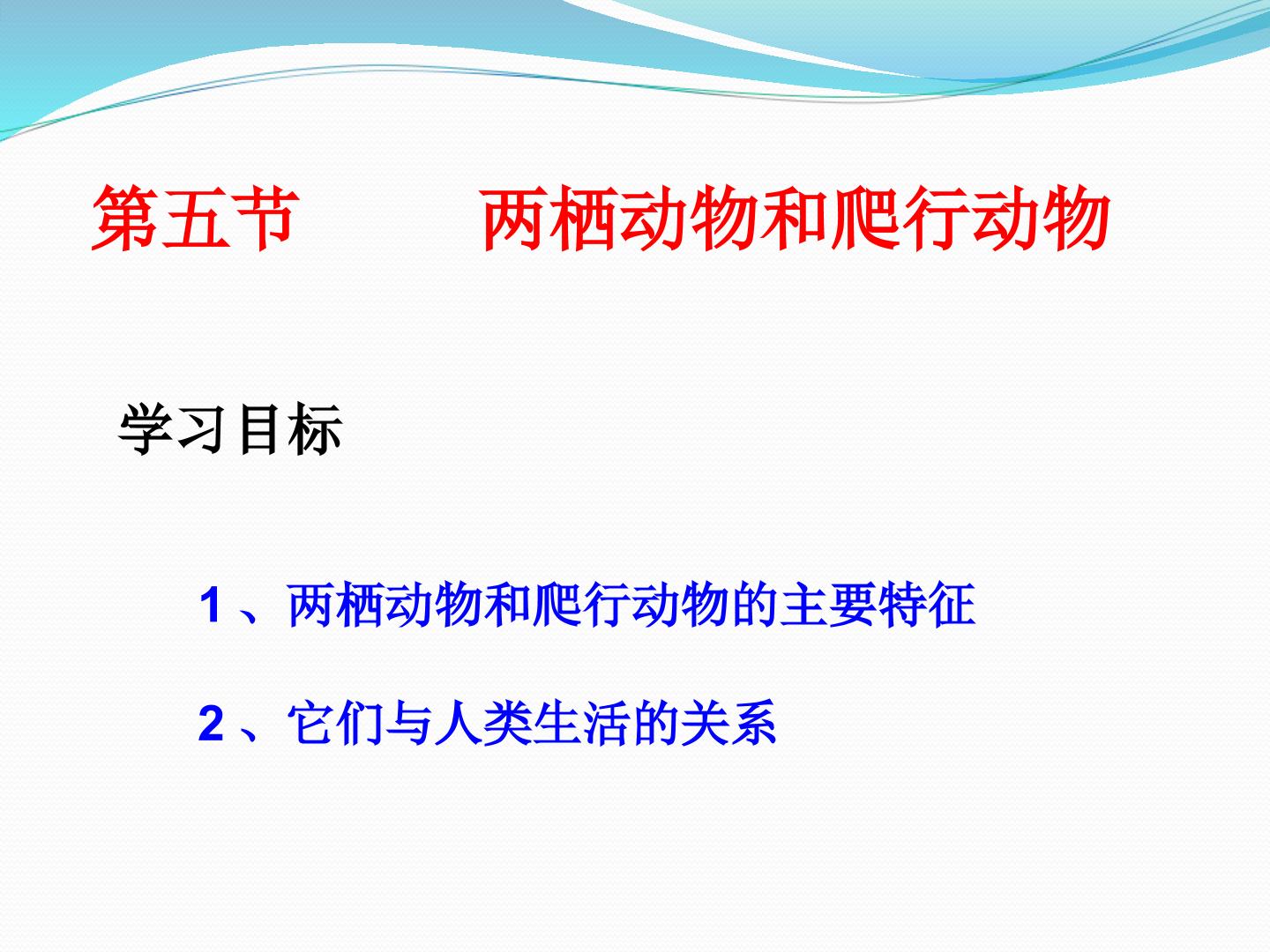 第五节  两栖动物和爬行动物