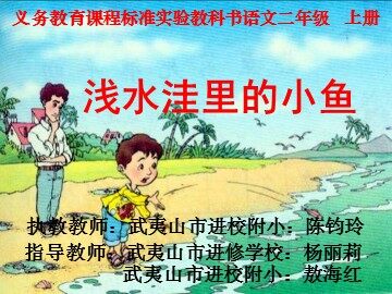 浅水洼的小鱼课件