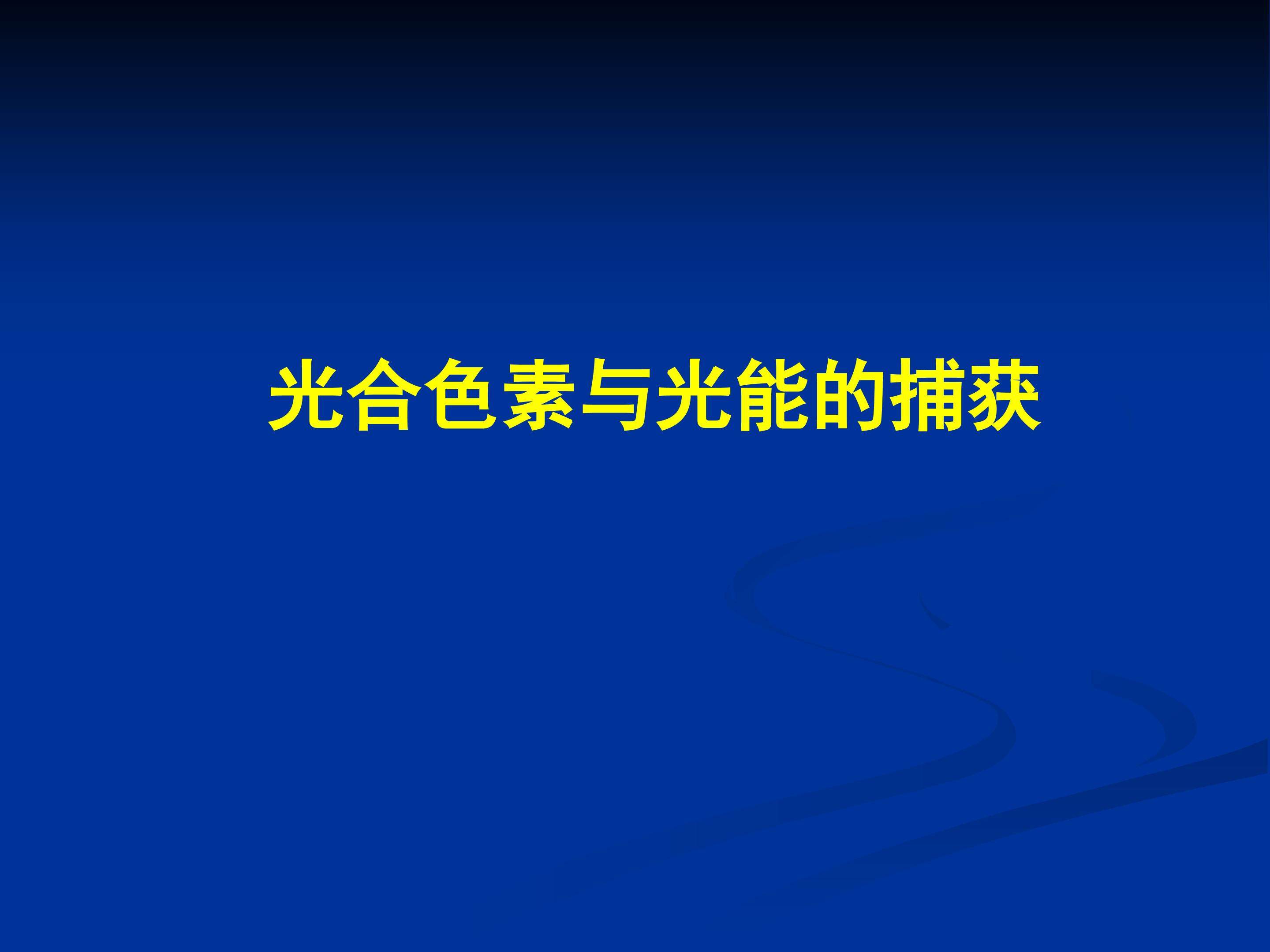 光合色素与光能的捕获_课件1