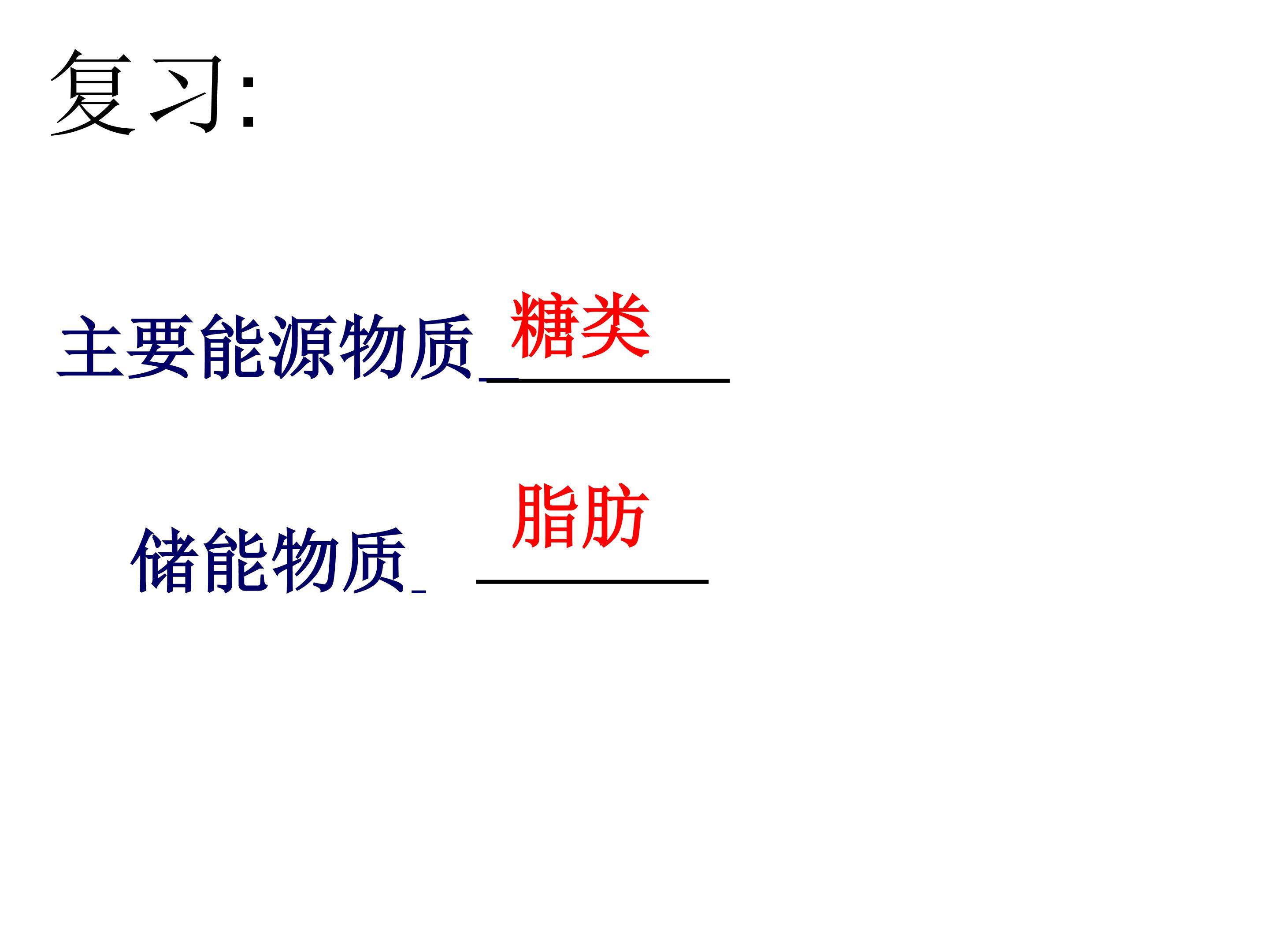 细胞的能量通货----ATP课件