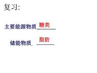 细胞的能量通货----ATP课件
