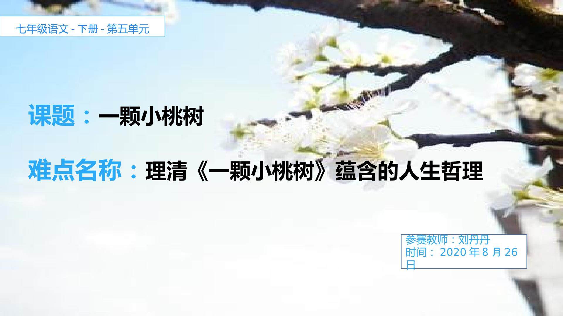 一颗小桃树
