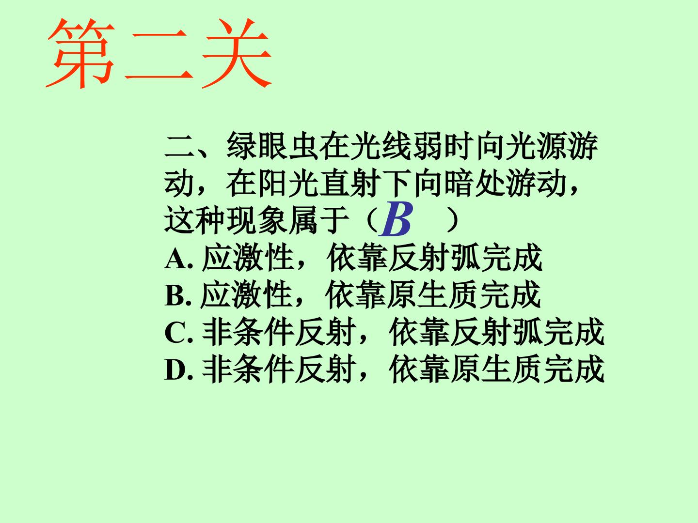 31.jpg