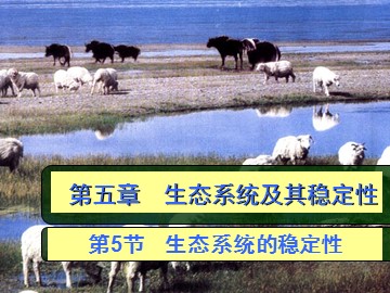 生物高中必修3第五章第五节第一课时课件2