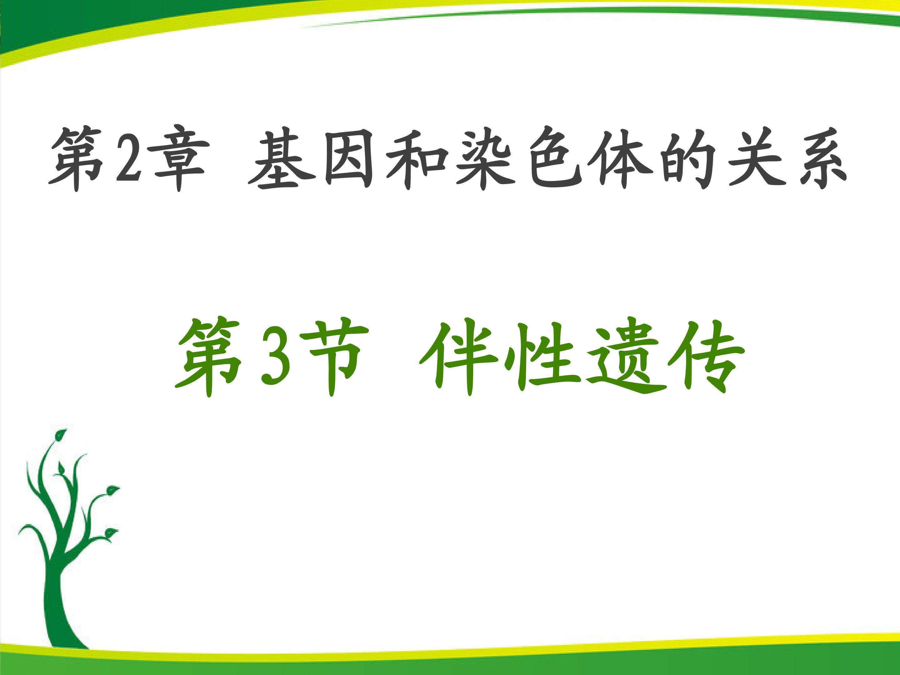 《伴性遗传》课件