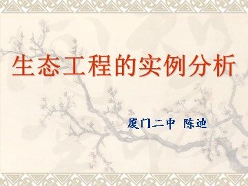 《5.2生态工程的实例和发展前景》课件——厦门二中陈迪