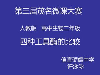 四种工具酶的比较