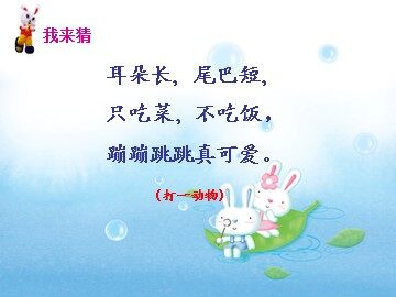 26 小白兔和小灰兔 