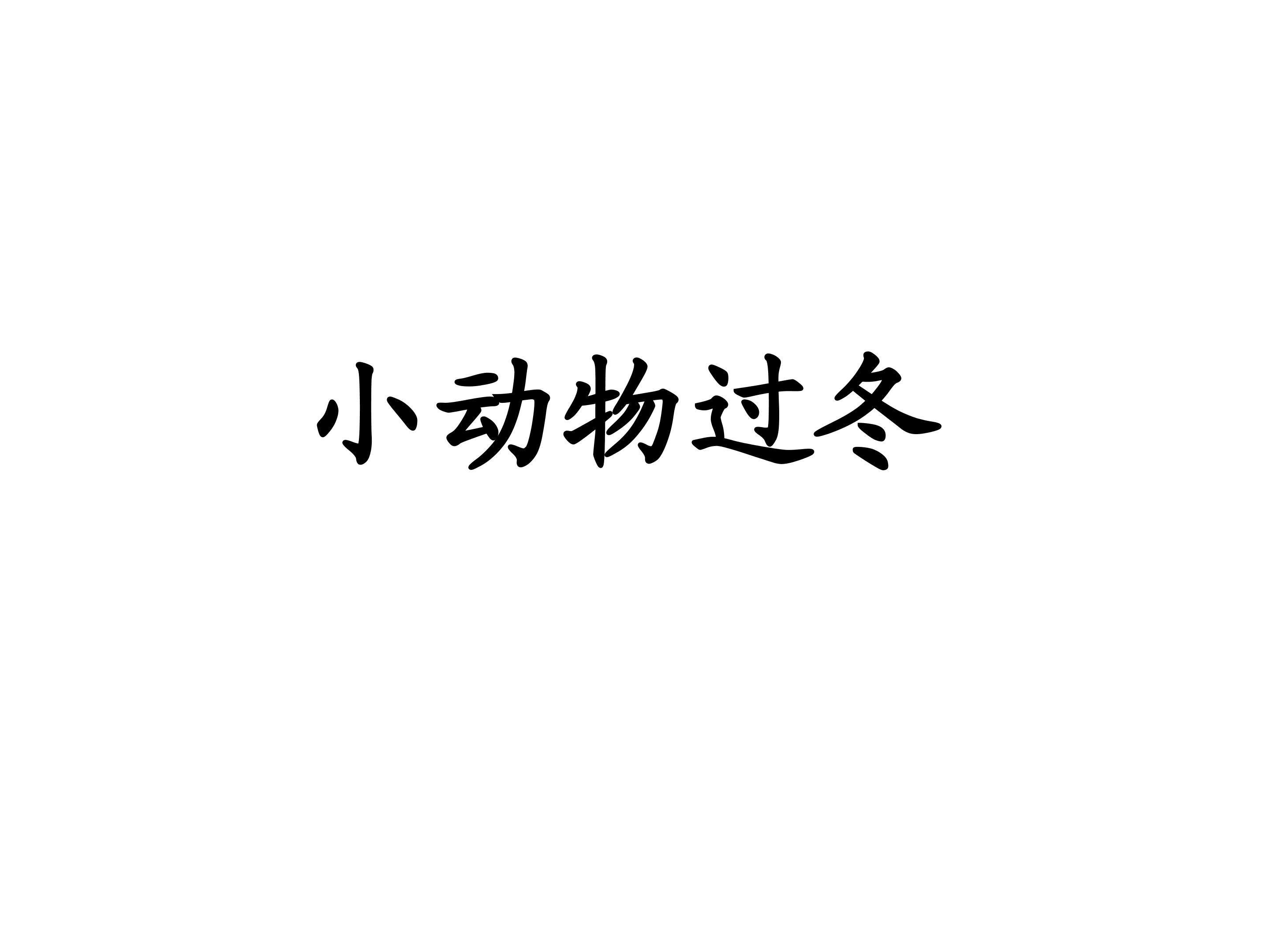 小动物过冬_课件2