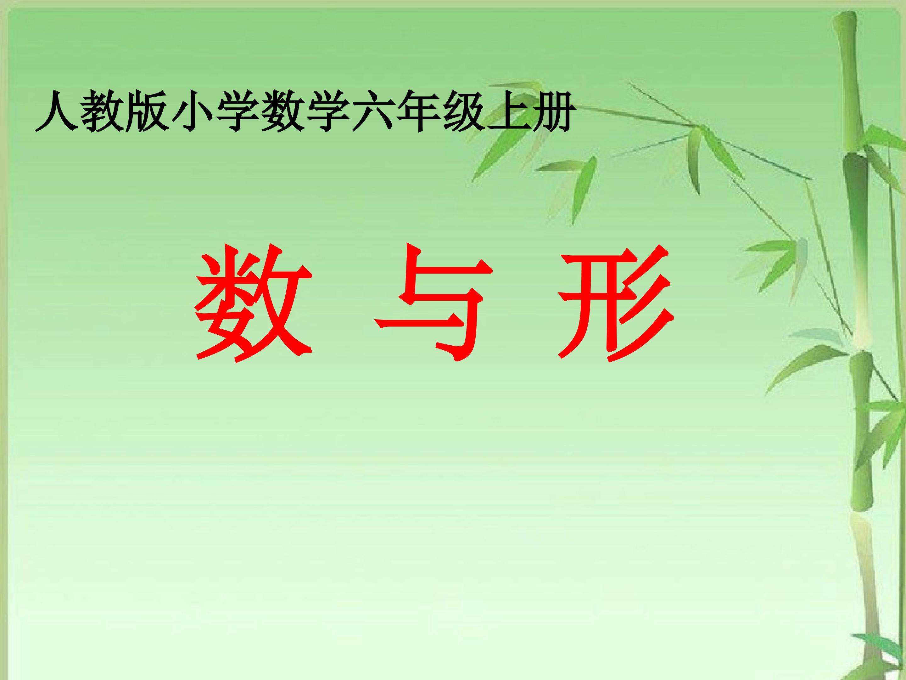数与形