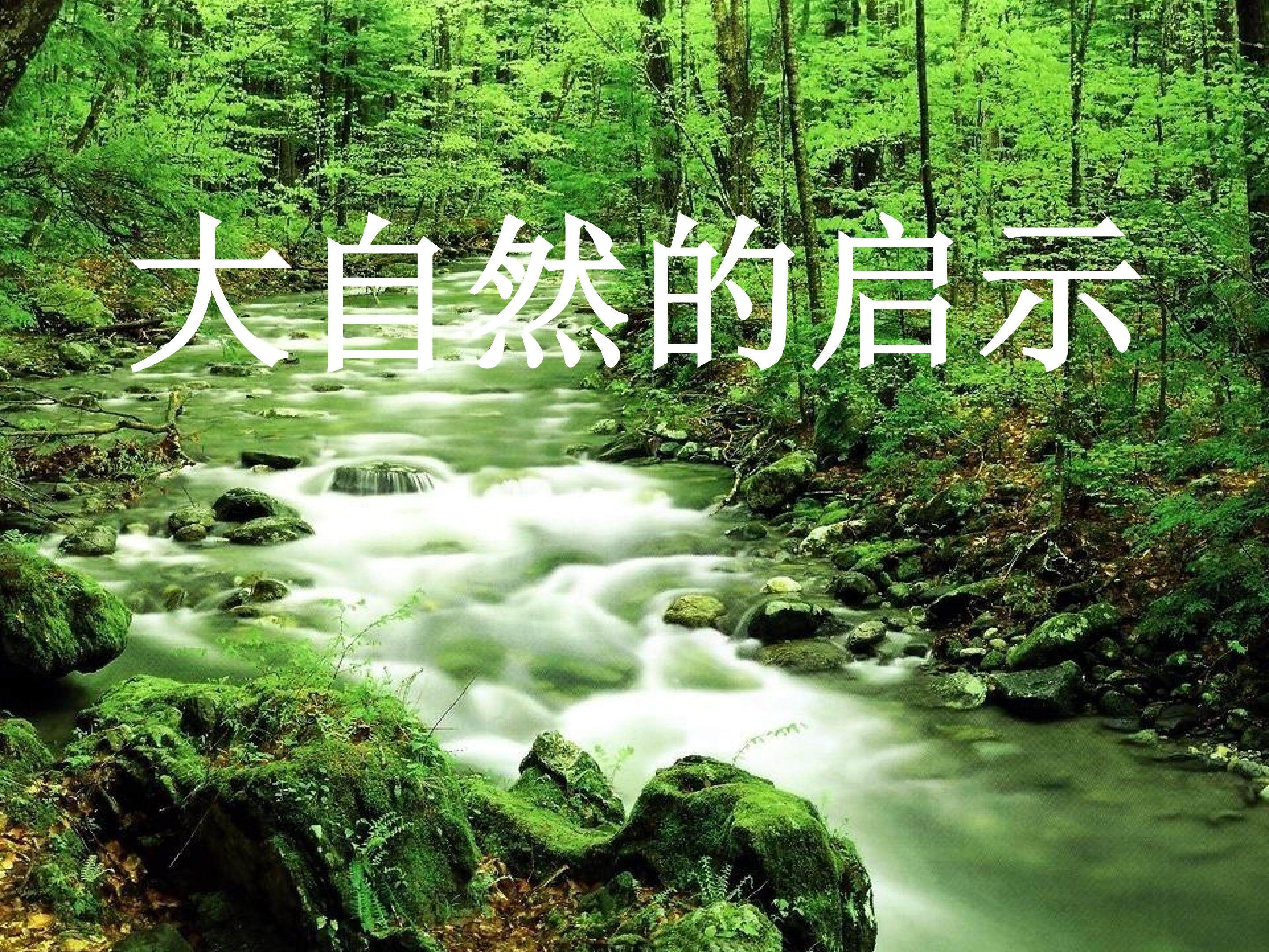 人类的老师