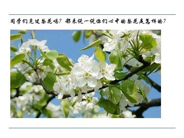7  驿路梨花