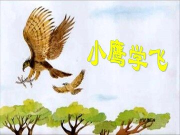 小鹰学飞_课件3