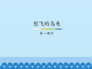 想飞的乌龟-第一课时_课件1