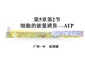生物高中必修1第五章第二节第一课时课件