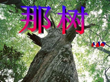 10 那树 