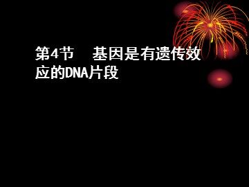 生物高中必修2第三章第四节课件3
