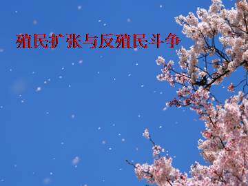 殖民扩张与反殖民斗争_课件1